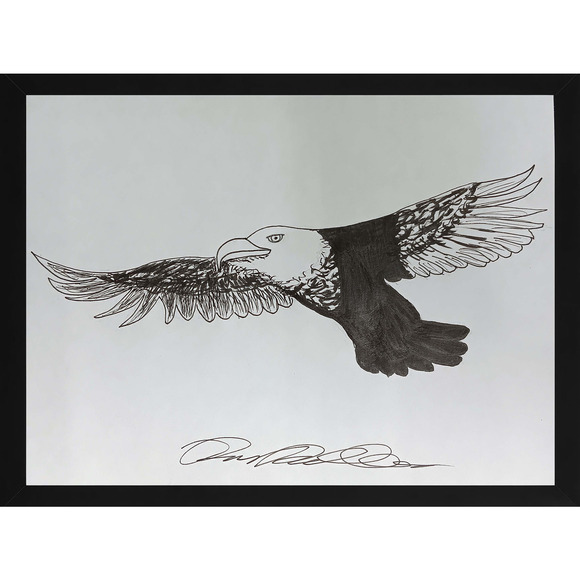 Eagle In Flight Ink Drawing on Paper 9 x 12 Inches Wall Decor Original Art OOAK - Picture 1 of 2